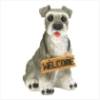 Schnauzer Wearing 'Welcome' Dog Sign 